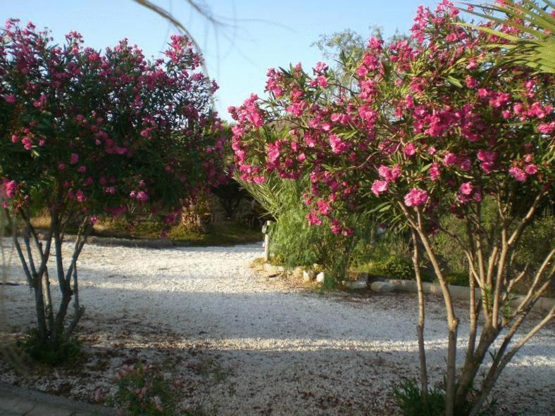 Casas Rurales Cortijo Torreblanca Parque Cabo De Gata El Pozo de los Frailes Dış mekan fotoğraf