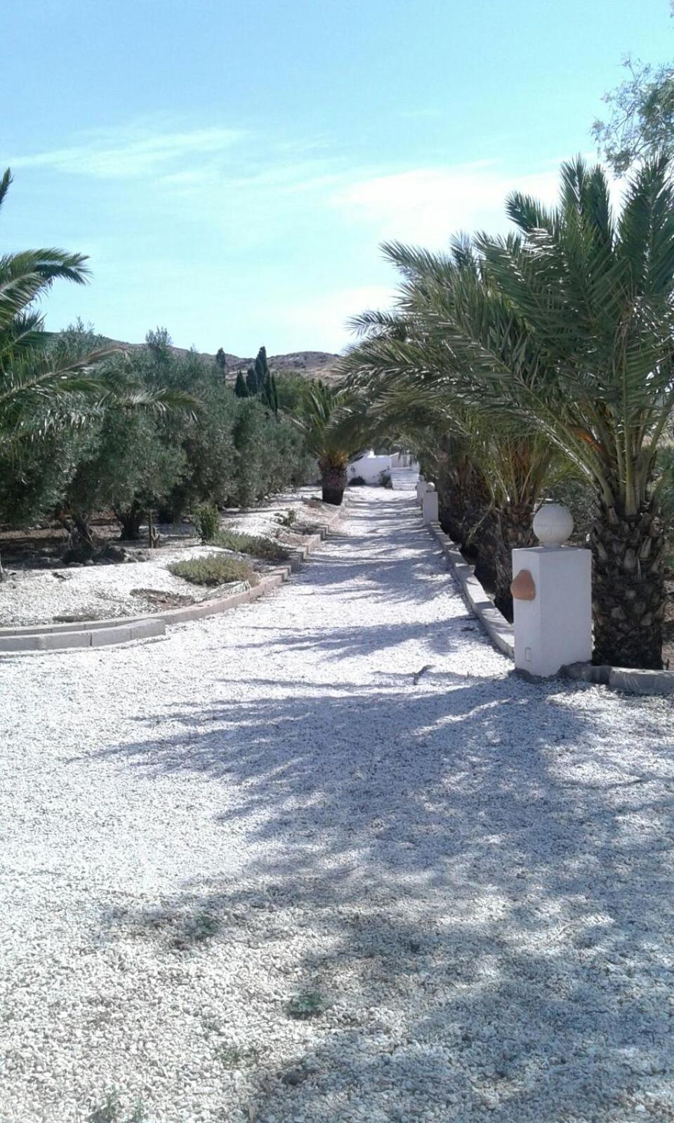 Casas Rurales Cortijo Torreblanca Parque Cabo De Gata El Pozo de los Frailes Dış mekan fotoğraf