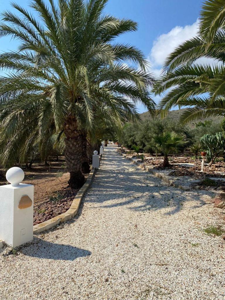 Casas Rurales Cortijo Torreblanca Parque Cabo De Gata El Pozo de los Frailes Dış mekan fotoğraf