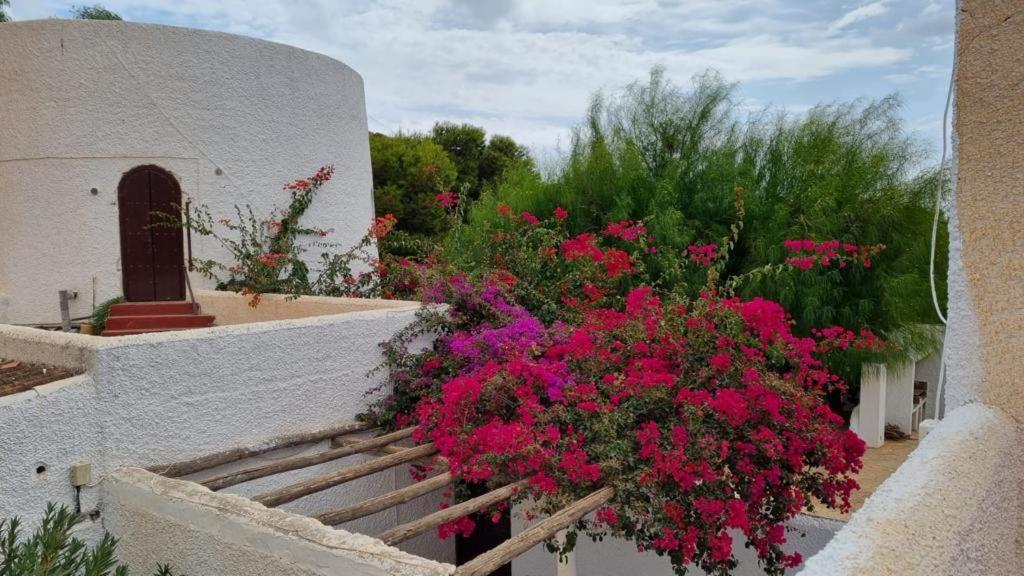 Casas Rurales Cortijo Torreblanca Parque Cabo De Gata El Pozo de los Frailes Dış mekan fotoğraf