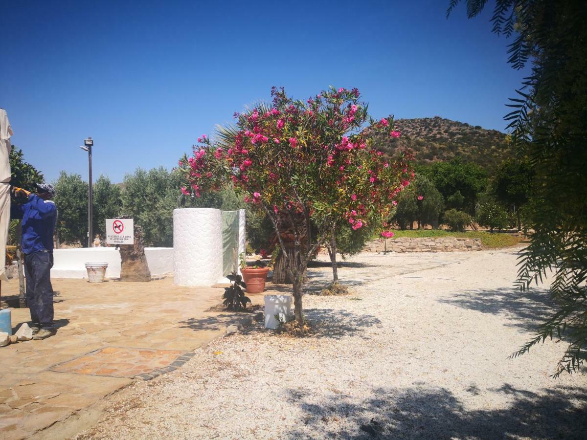 Casas Rurales Cortijo Torreblanca Parque Cabo De Gata El Pozo de los Frailes Dış mekan fotoğraf
