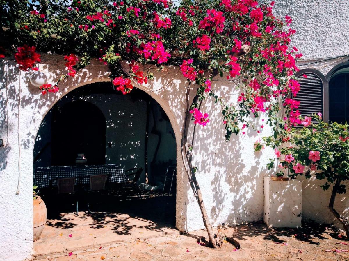 Casas Rurales Cortijo Torreblanca Parque Cabo De Gata El Pozo de los Frailes Dış mekan fotoğraf